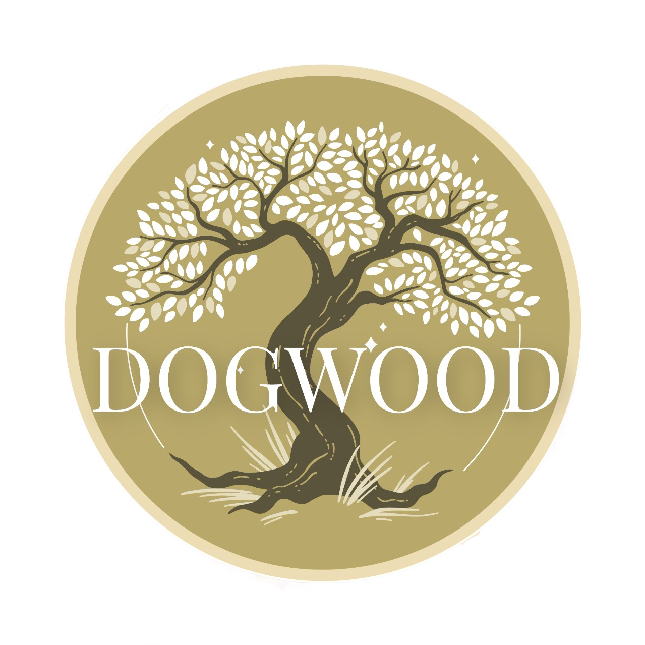 Dogwood Restaurant and Bar Best Restaurant in Pokhara